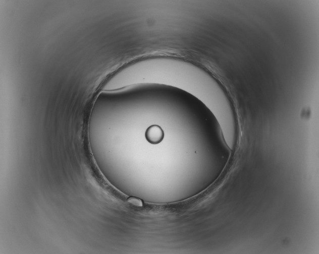 X0000112820201200909111331