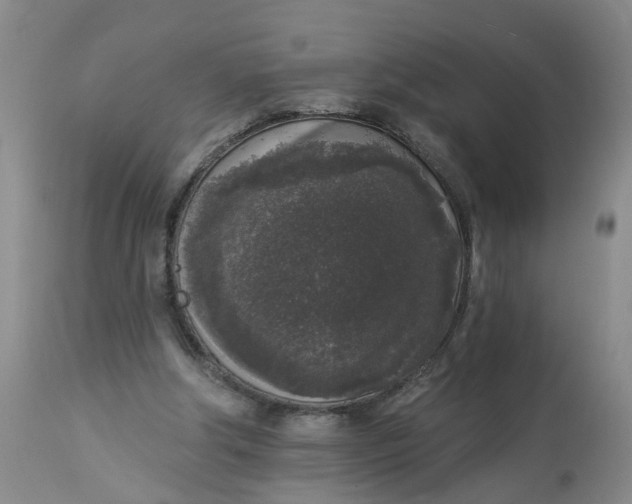 X0000112820202200909111331