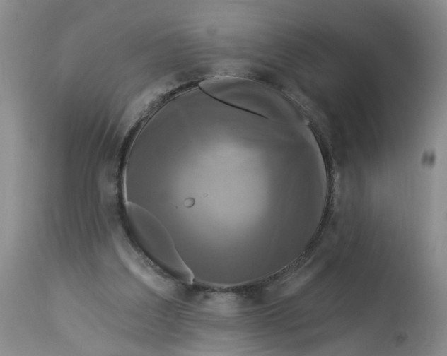 X0000112820203200909111331