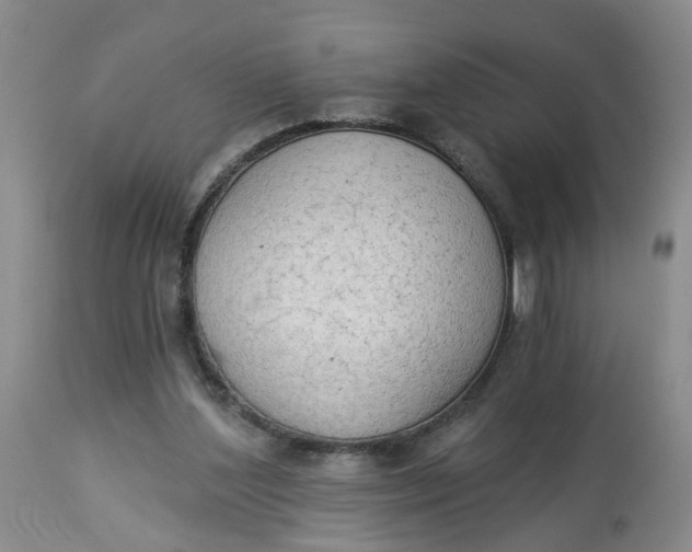 X0000112820204200909111331