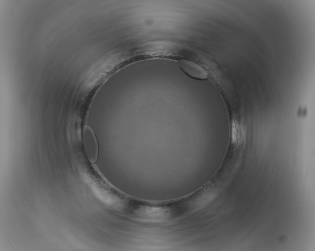 X0000112820205200909111331