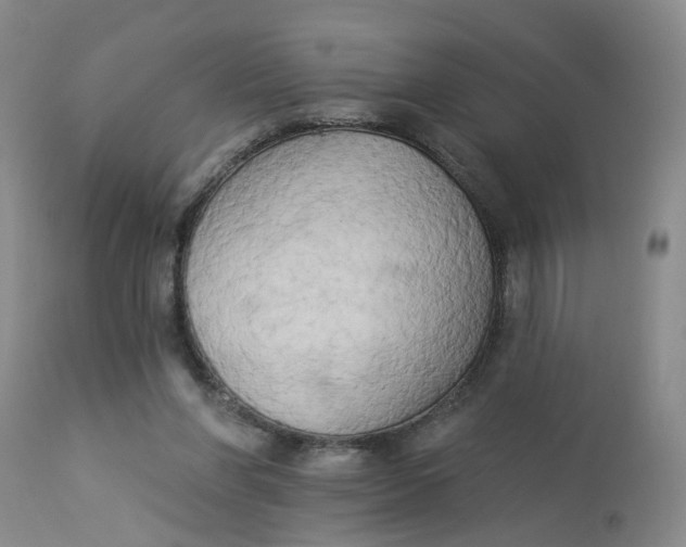 X0000112820206200909111331