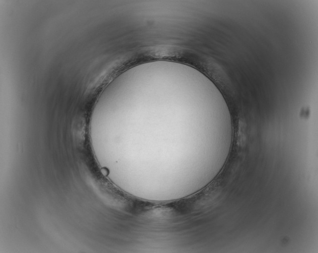 X0000112820210200909111331