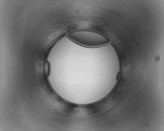 X0000112820211200909111331