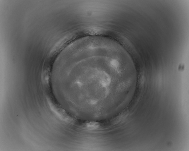 X0000112820214200909111330