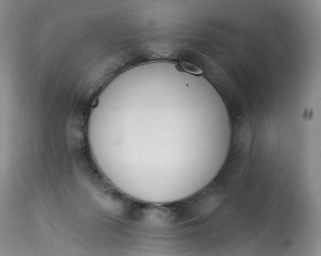 X0000112820215200909111330