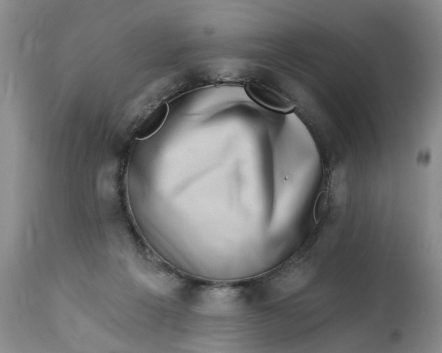 X0000112820217200909111330