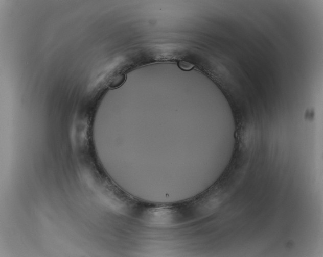 X0000112820219200909111330