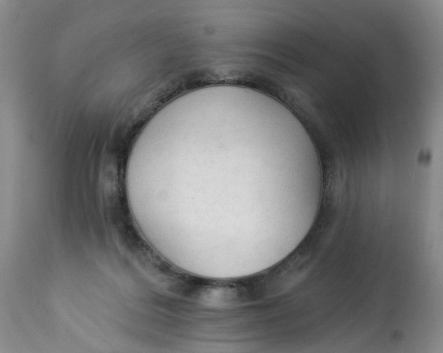 X0000112820220200909111330