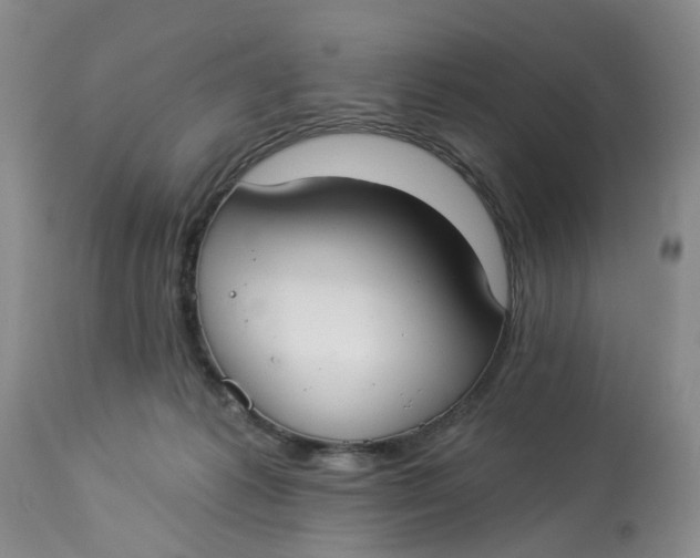 X0000112820221200909111330