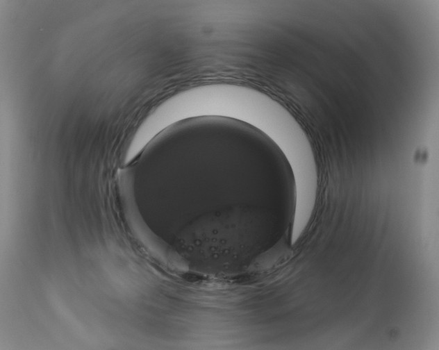 X0000112820223200909111330