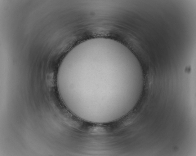 X0000112820224200909111330