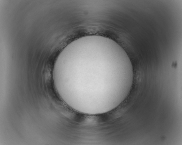 X0000112820226200909111330