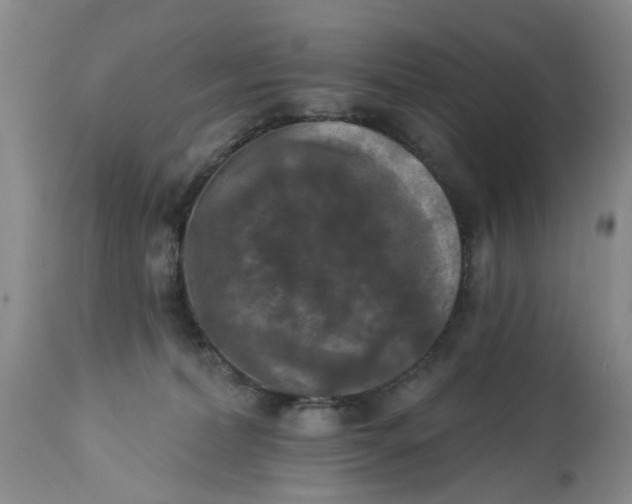 X0000112820228200909111330