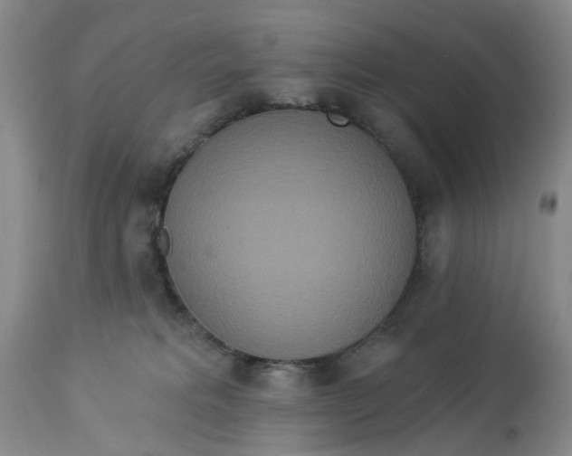 X0000112820229200909111330