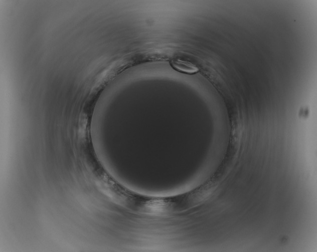 X0000112820231200909111330