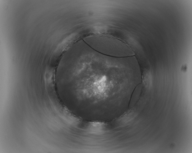 X0000112820233200909111330