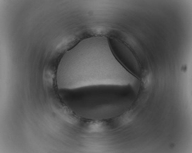 X0000112820235200909111330