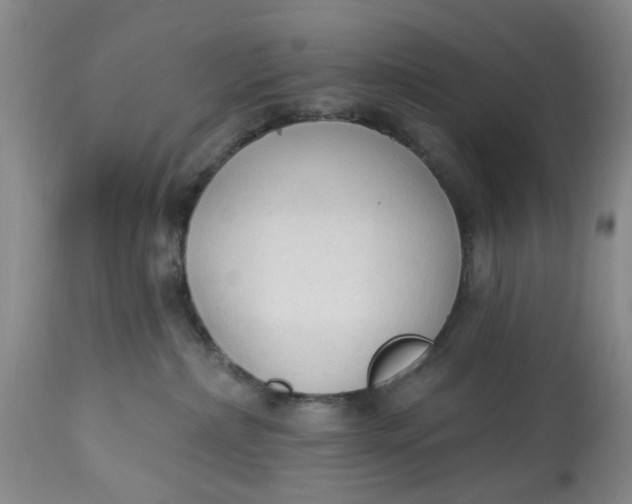 X0000112820236200909111330