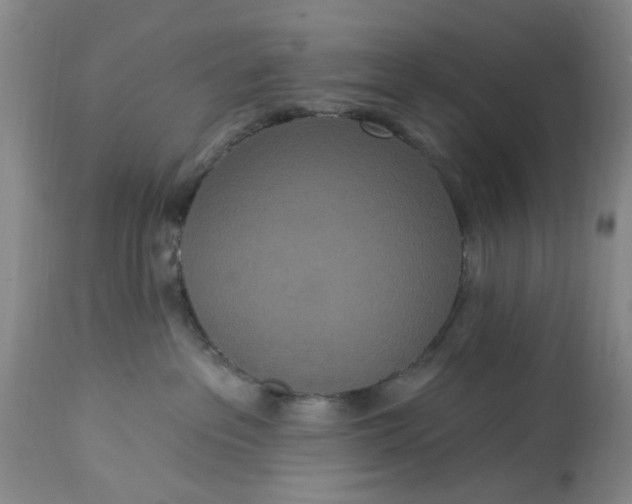 X0000112820237200909111330