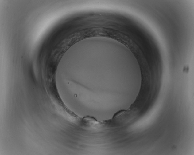 X0000112820239200909111330