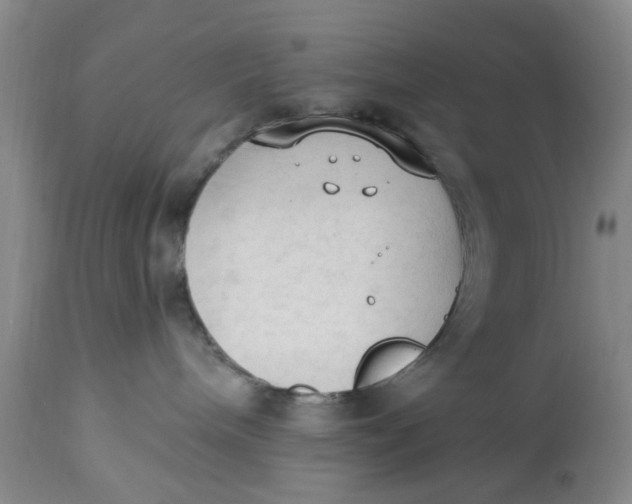 X0000112820240200909111330