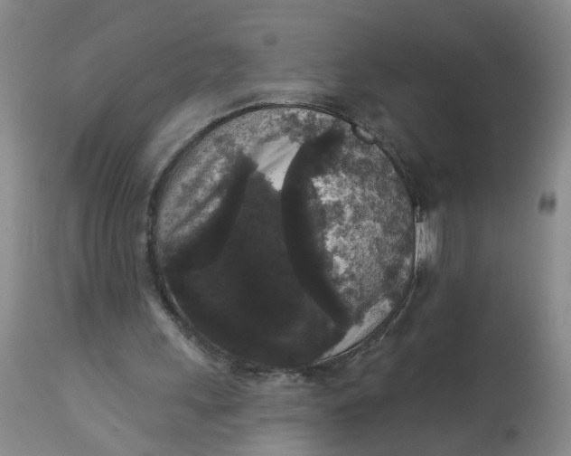 X0000112820243200909111329