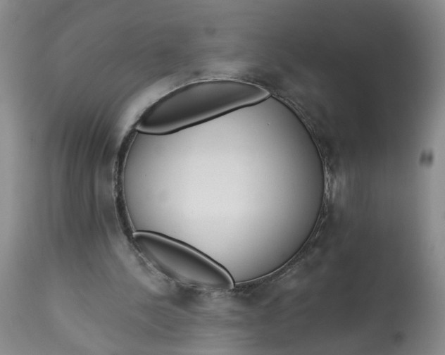 X0000112820244200909111329