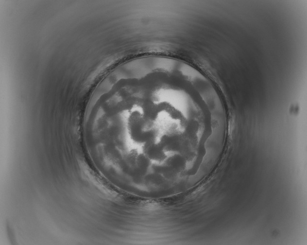 X0000112820249200909111329