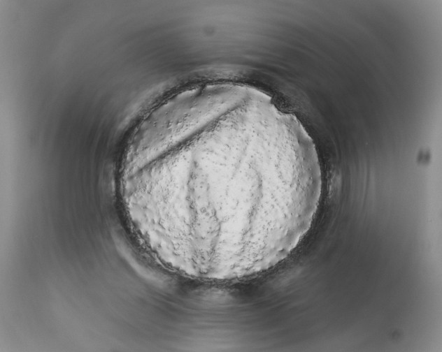 X0000112820254200909111329