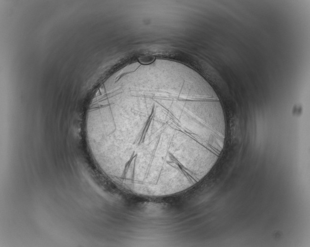 X0000112820255200909111329