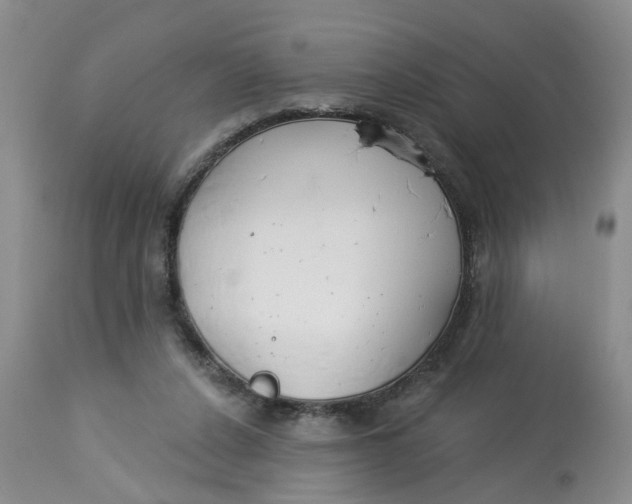 X0000112820256200909111329