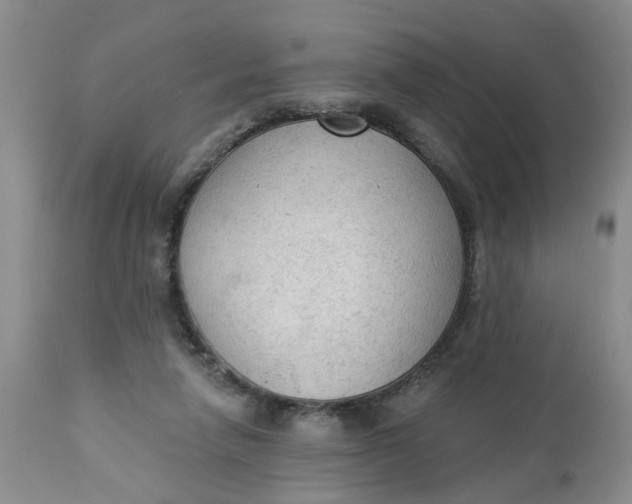 X0000112820258200909111330