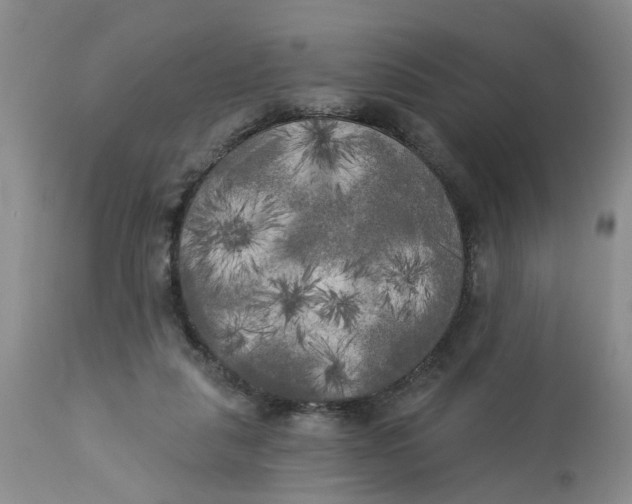 X0000112820259200909111330