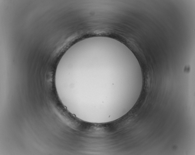 X0000112820260200909111330