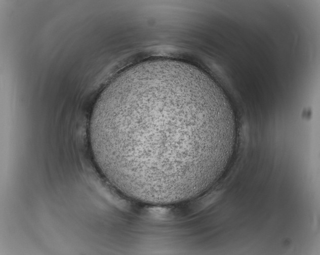 X0000112820265200909111330