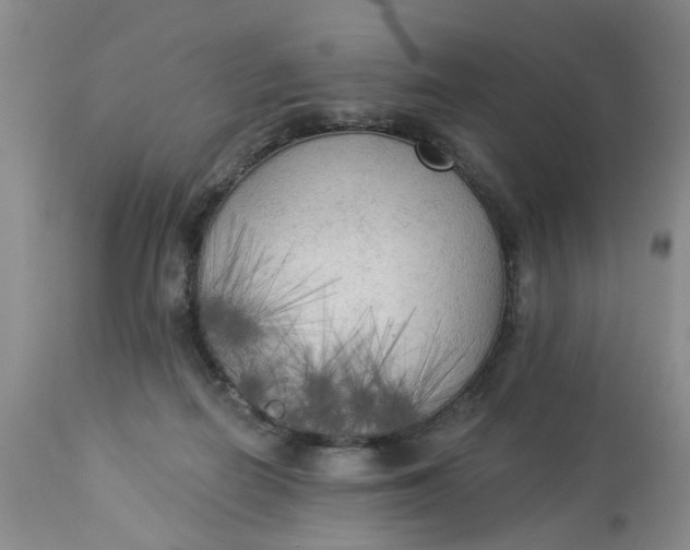 X0000112820266200909111330