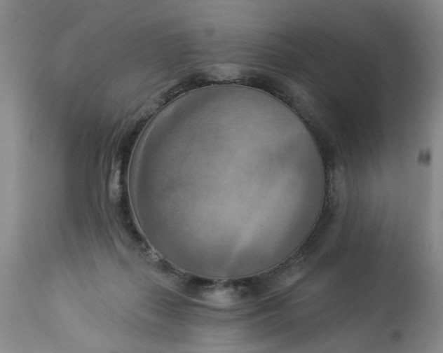 X0000112820267200909111330