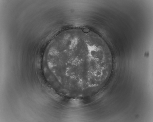 X0000112820269200909111330