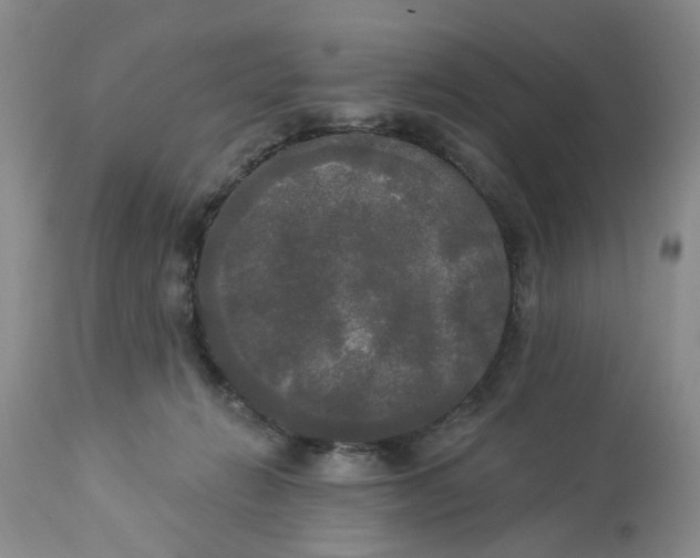 X0000112820270200909111330