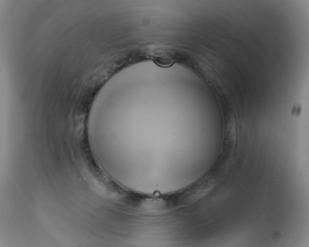 X0000112820271200909111330