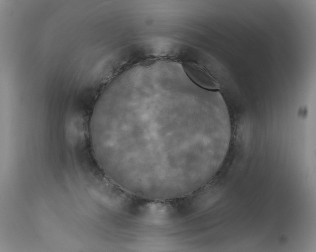 X0000112820272200909111330