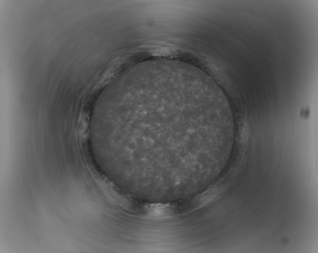 X0000112820273200909111330