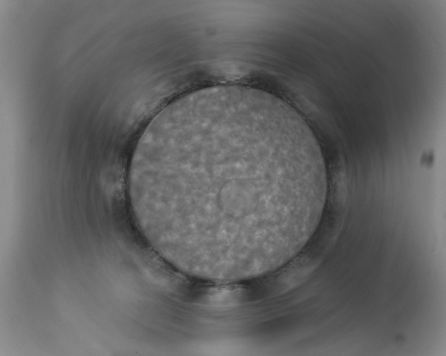 X0000112820274200909111330