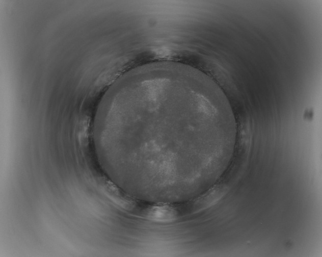 X0000112820275200909111330