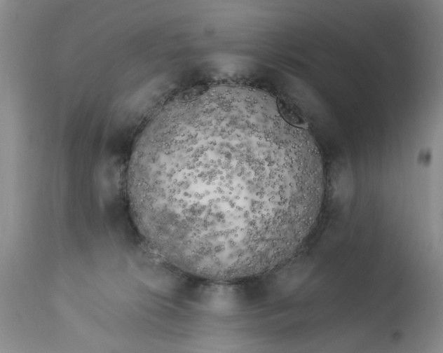 X0000112820276200909111330