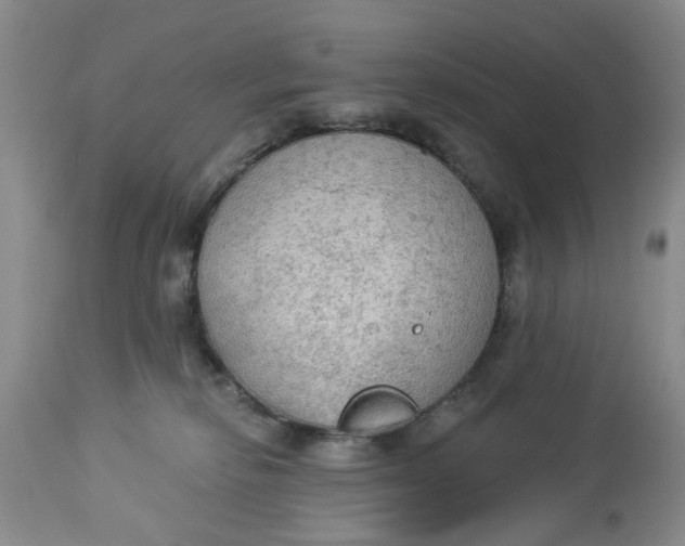 X0000112820278200909111330