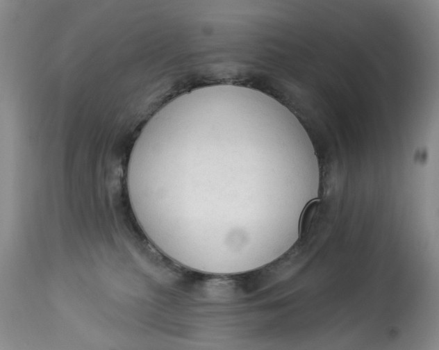 X0000112820279200909111330