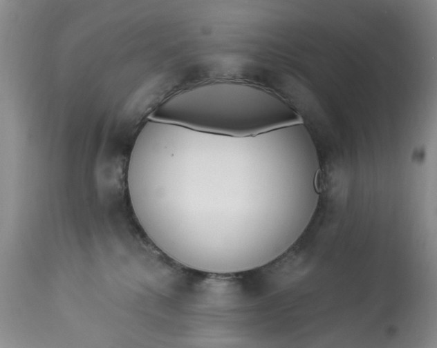 X0000112820280200909111330