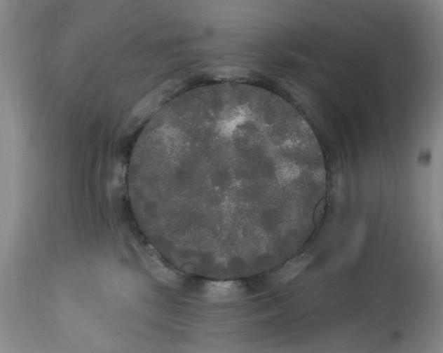 X0000112820281200909111330